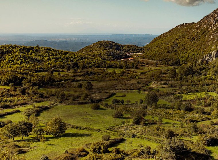 kermes-iberico-farm